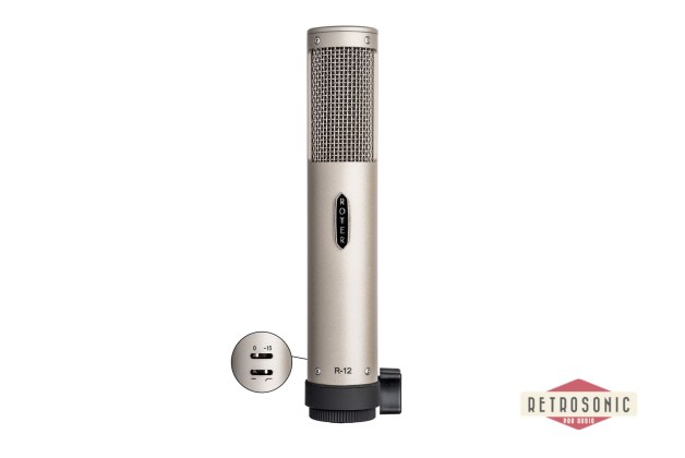Royer R-12 Active Ribbon microphone.